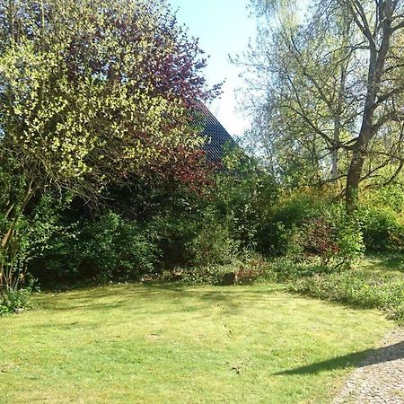 Sonniges Haeuschen Mit Garten Braunschweig Eksteriør billede