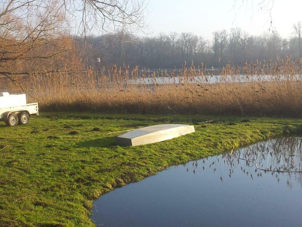Sonniges Haeuschen Mit Garten Braunschweig Eksteriør billede