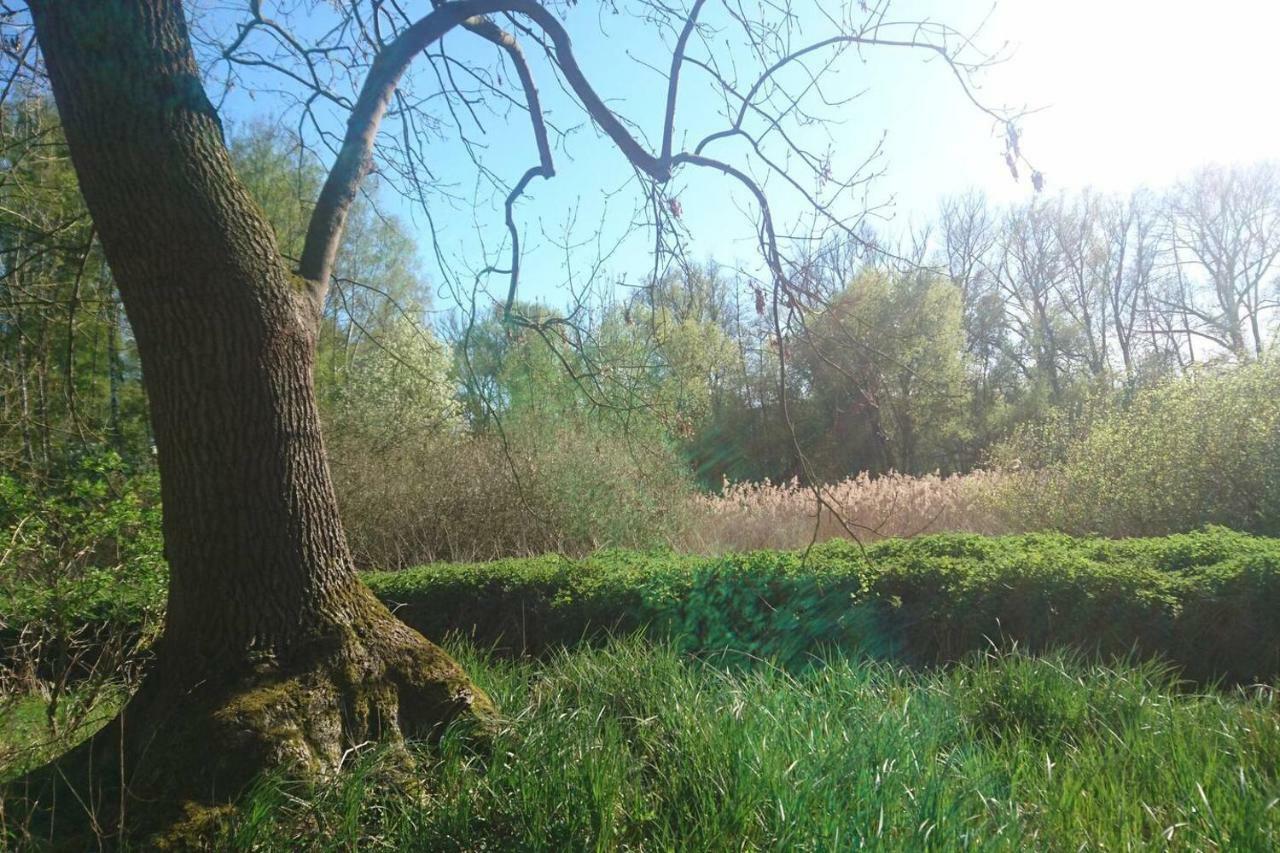 Sonniges Haeuschen Mit Garten Braunschweig Eksteriør billede